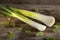 Spring onion or scallion on wood