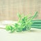 spring onion on wooden table