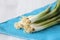 Spring onions in a bunch on a vibrant blue placemat