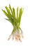 Spring onions, isolated