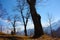 Spring panorama of Careggine, dry soil and bare trees. the land is dry and the bush displaced also in Tuscany due to the drought