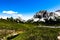 Spring panorama of the green meadows of the Dolomites with snow and pink rocks at the Falzarego pass in Cortina d`Ampezzo Belluno