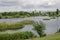 Spring panorama of a part of residential district neighborhood along a lake with green trees, shrubs and flowers, Drujba