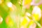 Spring pastel background texture - blurred meadow