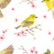 Spring pattern with birds and green young branches. Fresh background.