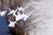 An spring photo with a paper origami cranes hanging on tree branches