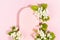 Spring pink blank rounded arch pad for text mockup with gentle white apple tree flowers, green leaf in sunlight on pastel pink.