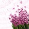 Spring pink hyacinths over blurred background with musical notes