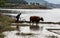 Spring ploughing in shengzhong lake in sichuan,china