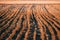 Spring Plowed Field In Sunset Light. Ploughed Field In Early Spring. Farm, Agricultural Landscape. Agricultural