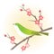 Spring plum flower and nightingale illustration