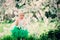 Spring portrait of cute baby girl in green skirt enjoying outdoor walk in blooming garden