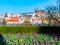 Spring in Prague. Flowerbed of tulips on sunny spring day with Prague Castle on background. Czech Republic