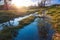 Spring puddle with reflections. Sunset countryside scene. Spring grass and sun shine