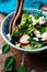 Spring Radish And Snap Pea Greek Salad..style rustic.selective focus