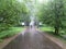 Spring rain in the Park. Mobile photo in Moscow in may 2016