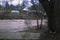 Spring Rains raises Johnson Creek at Bell Dr.