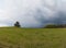 Spring rainy day in pastures in the Czech Republic. Overcast day. Panorama meadows.