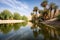 spring with reflection in calm oasis surrounded by desert