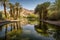 spring with reflection in calm oasis surrounded by desert