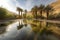 spring with reflection in calm oasis surrounded by desert