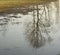 Spring reflection. Tree reflecion in water.