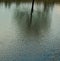 Spring reflections flickering on the water