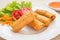 Spring rolls and sweet chili dip sauce