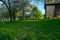 Spring rural garden. Beautiful green grass and blossom cherry trees. Farmland in may spring time