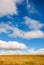 Spring rural landscape. Golden grass, blue sky and heap  beautiful clouds.