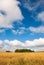 Spring rural landscape. Golden grass, blue sky and heap  beautiful clouds.