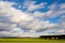 A spring rural landscape with green winter crops, a village in t