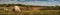 spring rural landscape. hilly field with green and dry grass, stones, arable land and forest under a blue cloudy sky. panoramic