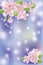 Spring sakura blossom banner