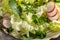 Spring salad with wild edible plants - chickweed, young bedstraw and common nipplewort