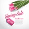 Spring sale advertising background template EPS 10 vector