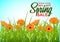 Spring sale, background with colorful flowers and green grass, background for banners, invitations, cards, brochures.