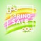 Spring Sale Banner design for promotion. Poster with frame and daisy.