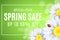 Spring sale banner. Ladybug creeps on the flowers of daisies. Seasonal design for your business. Water drops. Lights bokeh. Frame