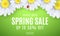 Spring sale banner. Ladybug creeps on the flowers. Realistic daisies. Seasonal design for your business. Water drops. Special