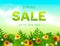 Spring Sale collection. Vector background with sun, chamomile, grass and ribbon. Text design