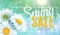 Spring sale concept. Summer background with chamomile and blue sky background. Template for banners, web, flyer, voucher