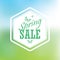 Spring sale poster with hexagonal badge