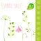 Spring sale vector green elements. Hand painted