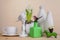 Spring Scandinavian cozy home decor: white vases, white hyacinth and bird figurines