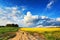 Spring scene. Dirt road into yellow colza and green wheat fields