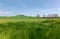 Spring scenery of idyllic Tuscan countryside on a beautiful sunny day, with a green grassy field in foreground & a cypress road