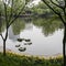 Spring scenery in a park,chengdu,china