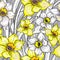 Spring seamless pattern with flowers of Narcissus, Daffodils, jonquil.