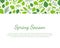 Spring Season Landing Page Template with Place for Text and Green Tree Leaves Vector Illustration